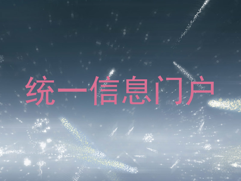 统一信息门户