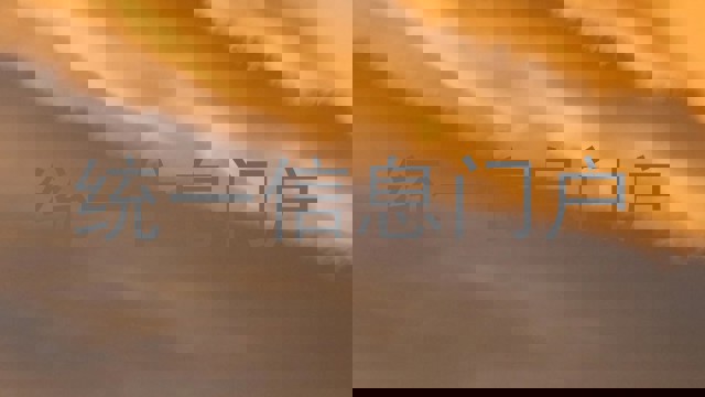 统一信息门户