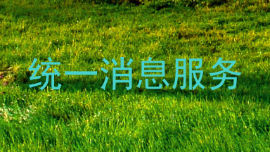 统一消息服务