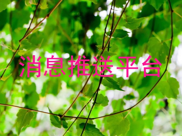 消息推送平台