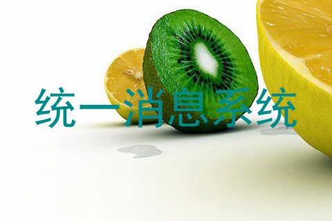 统一消息系统