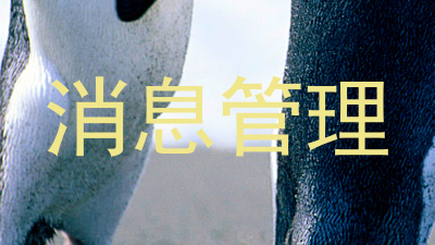消息管理