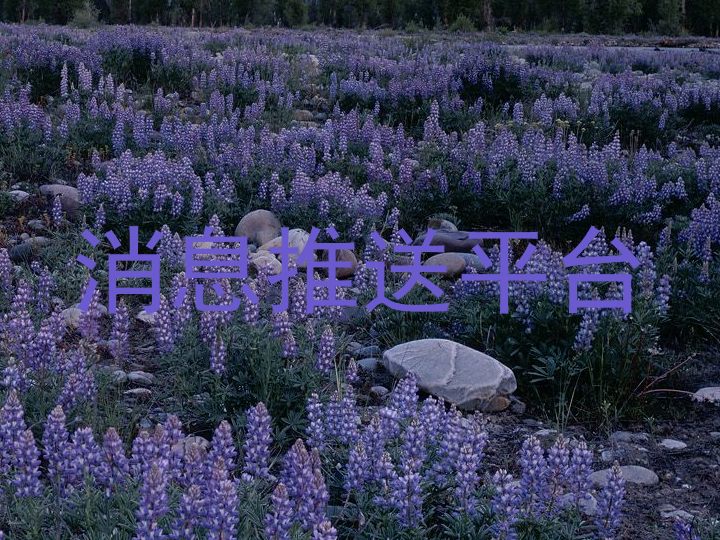 消息推送平台