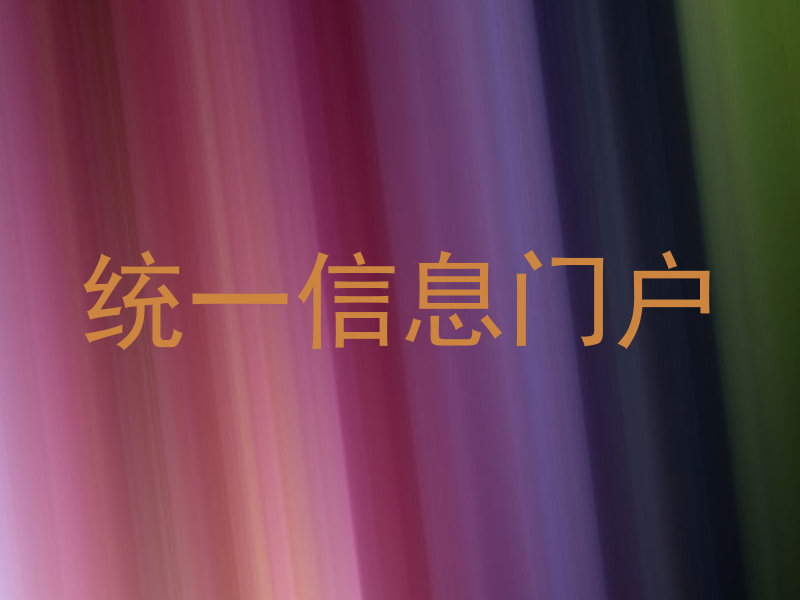 统一信息门户