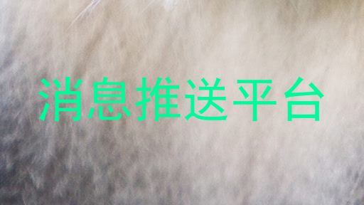 消息推送平台
