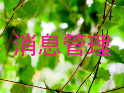 消息管理