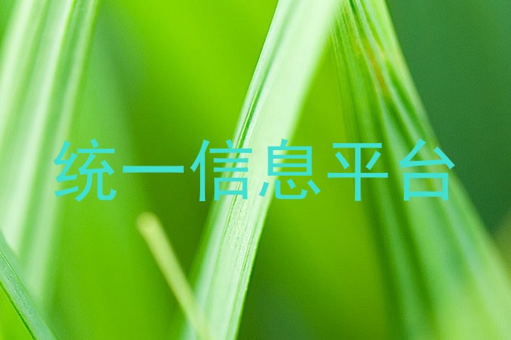 统一信息平台