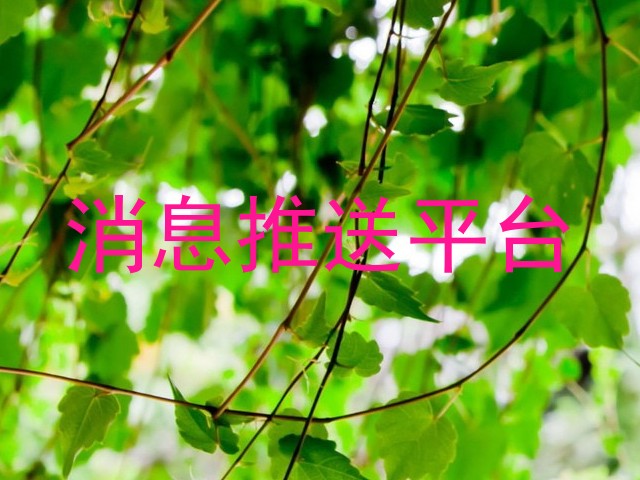 消息推送平台