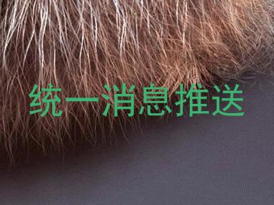 统一消息推送