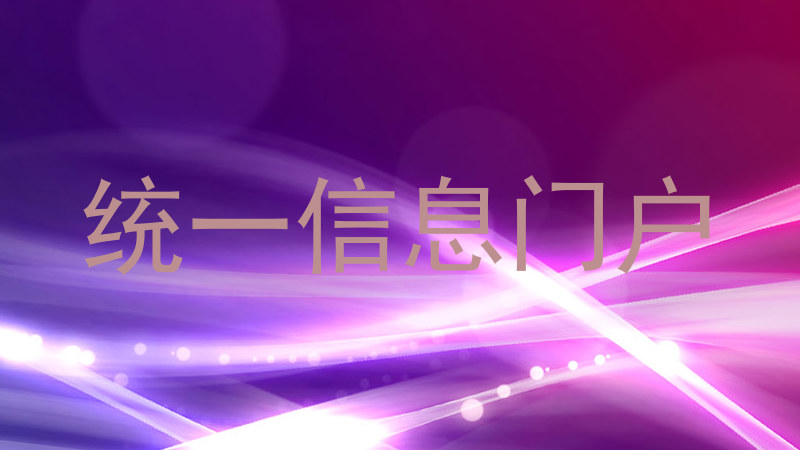 统一信息门户