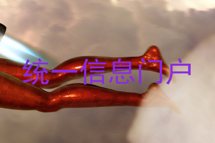 统一信息门户