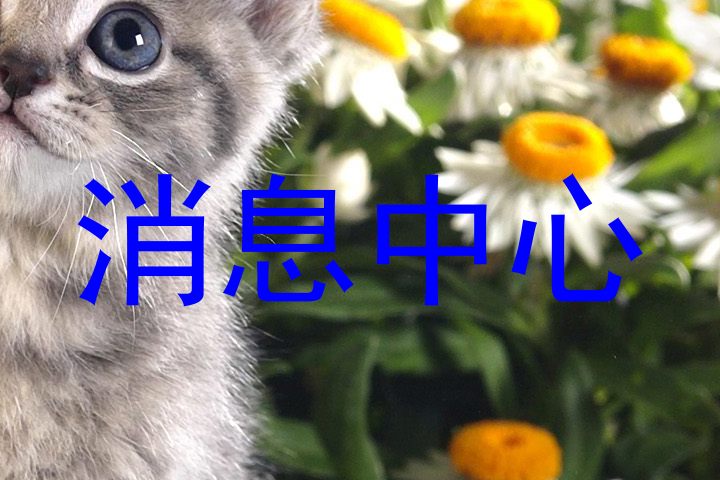 消息中心