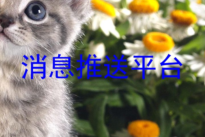 消息推送平台