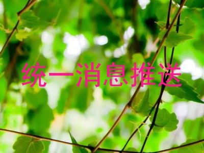 统一消息推送