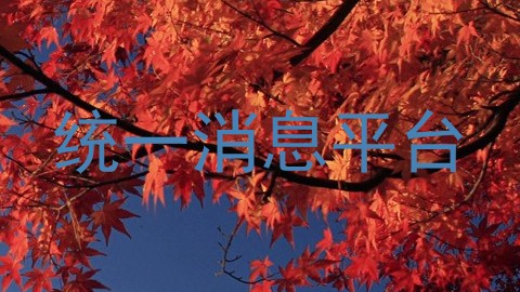 统一消息平台