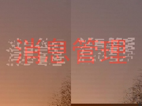 消息管理
