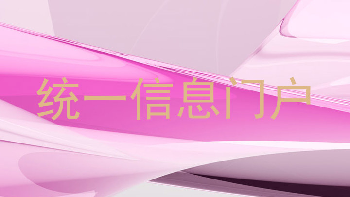 统一信息门户