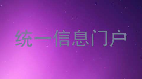统一信息门户
