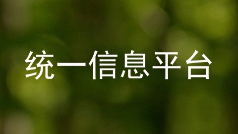 统一信息平台