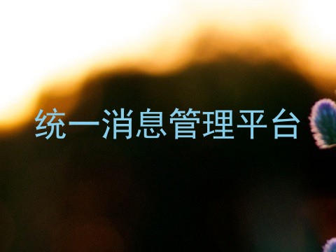 统一消息管理平台