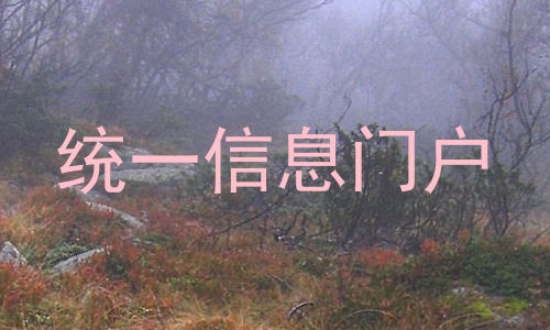 统一信息门户