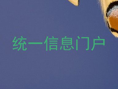 统一信息门户