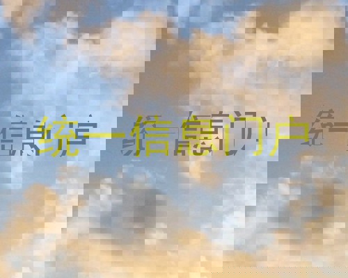 统一信息门户