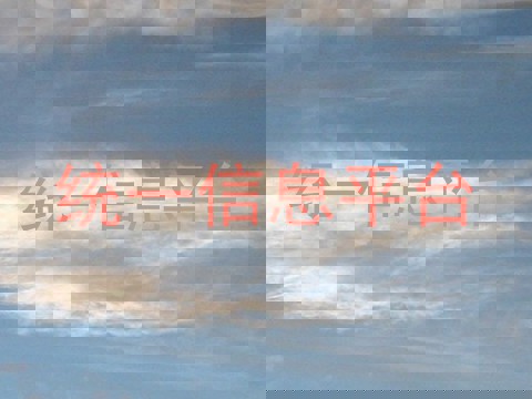 统一信息平台
