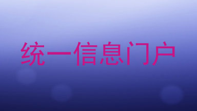 统一信息门户