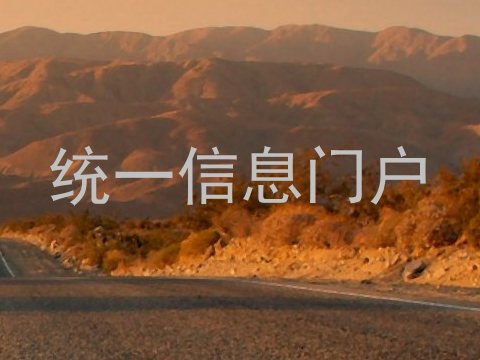 统一信息门户