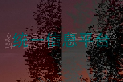 统一信息平台