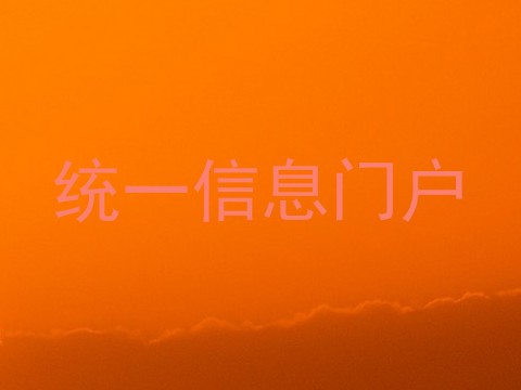 统一信息门户