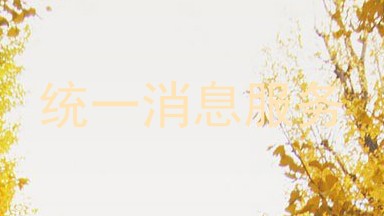 统一消息服务