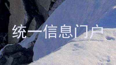 统一信息门户