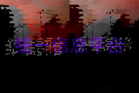 统一信息平台