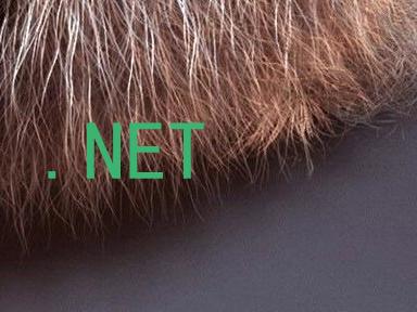 .NET