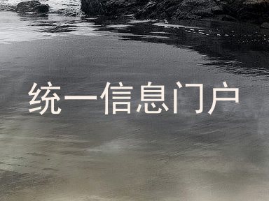 统一信息门户