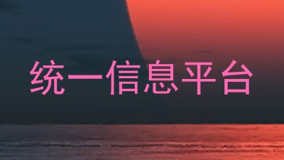 统一信息平台