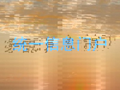 统一信息门户