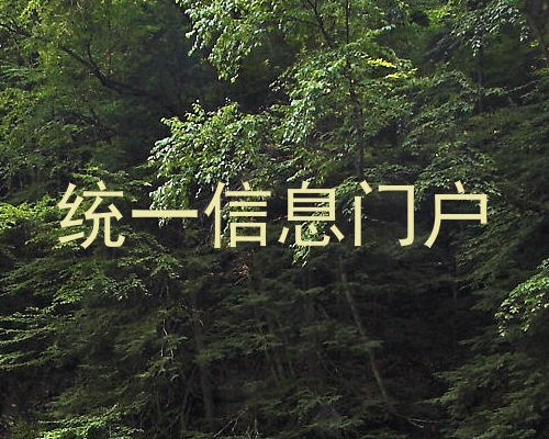 统一信息门户