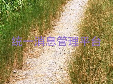 统一消息管理平台