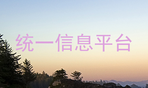 统一信息平台