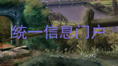 统一信息门户