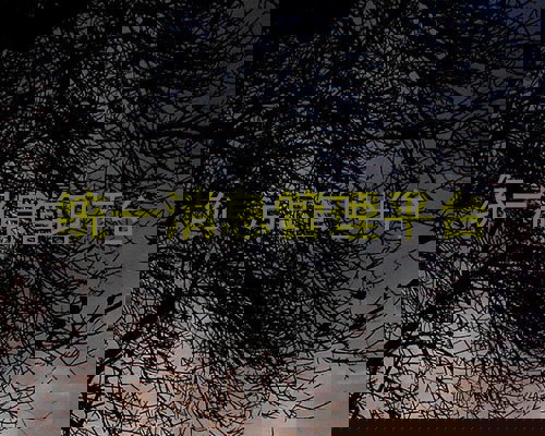 统一消息管理平台