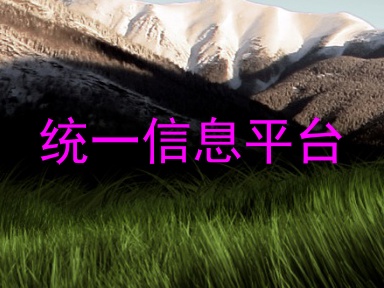 统一信息平台