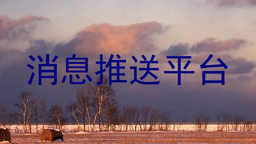 消息推送平台