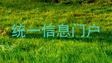 统一信息门户