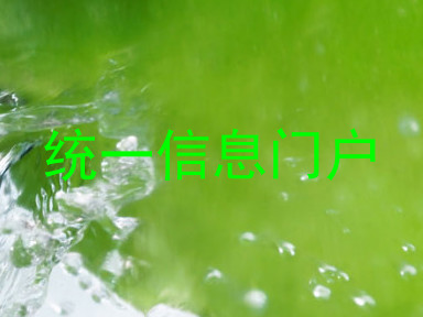 统一信息门户