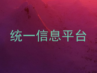 统一信息平台