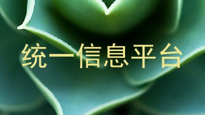 统一信息平台